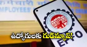 EPFO Passbook Lite: EPFO కీలక నిర్ణయం, ఒకే క్లిక్ తో పీఎఫ్ సెటిల్మెంట్!