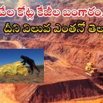Earth Core Gold Mine: భూమి లోపలి నుంచి ఉప్పొంగి వస్తున్న బంగారం.. దీని విలువ తెలిస్టే షాక్ అవ్వాల్సిందే..