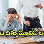 Viral News: అమ్మ చనిపోయిందంటూ లీవ్ అడిగిన ఉద్యోగి.. బాస్ రిప్లైతో ఒక్కసారిగా షాక్!