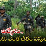 FOREST BEAT OFFICER: అటవీశాఖలో భారీగా ఉద్యోగాలు.. ఇవ్వి చదివితే చాలు.. ఉద్యోగం మీ సొంతం!