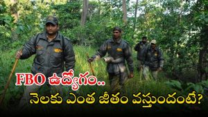FOREST BEAT OFFICER: అటవీశాఖలో భారీగా ఉద్యోగాలు.. ఇవ్వి చదివితే చాలు.. ఉద్యోగం మీ సొంతం!