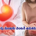 Gastric Health Tips: గ్యాస్ సమస్యకు చెక్ పెట్టండి ఇలా..! ఇంట్లోనే సులభమైన చిట్కాలు