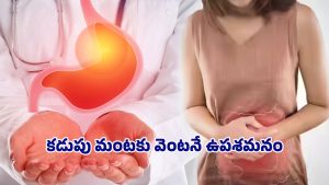 Gastric Health Tips: గ్యాస్ సమస్యకు చెక్ పెట్టండి ఇలా..! ఇంట్లోనే సులభమైన చిట్కాలు