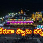 Tirumala News: భక్తులకు నేరుగా శ్రీవారి దర్శనం, సాయంత్రం తిరుమలకు సీఎం చంద్రబాబు