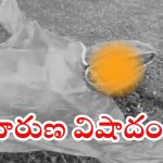 Guntur News: గుంటూరు జిల్లాలో విషాదం.. పిడుగు పడి ఇద్దరు మహిళలు మృతి