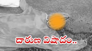 Guntur News: గుంటూరు జిల్లాలో విషాదం.. పిడుగు పడి ఇద్దరు మహిళలు మృతి
