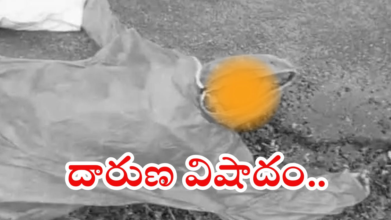 Guntur News: గుంటూరు జిల్లాలో విషాదం.. పిడుగు పడి ఇద్దరు మహిళలు మృతి