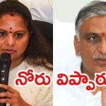 Harishrao: కవిత వ్యాఖ్యలపై హరీష్‌రావు తొలిసారిగా
