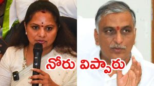 Harishrao: కవిత వ్యాఖ్యలపై హరీష్‌రావు తొలిసారిగా