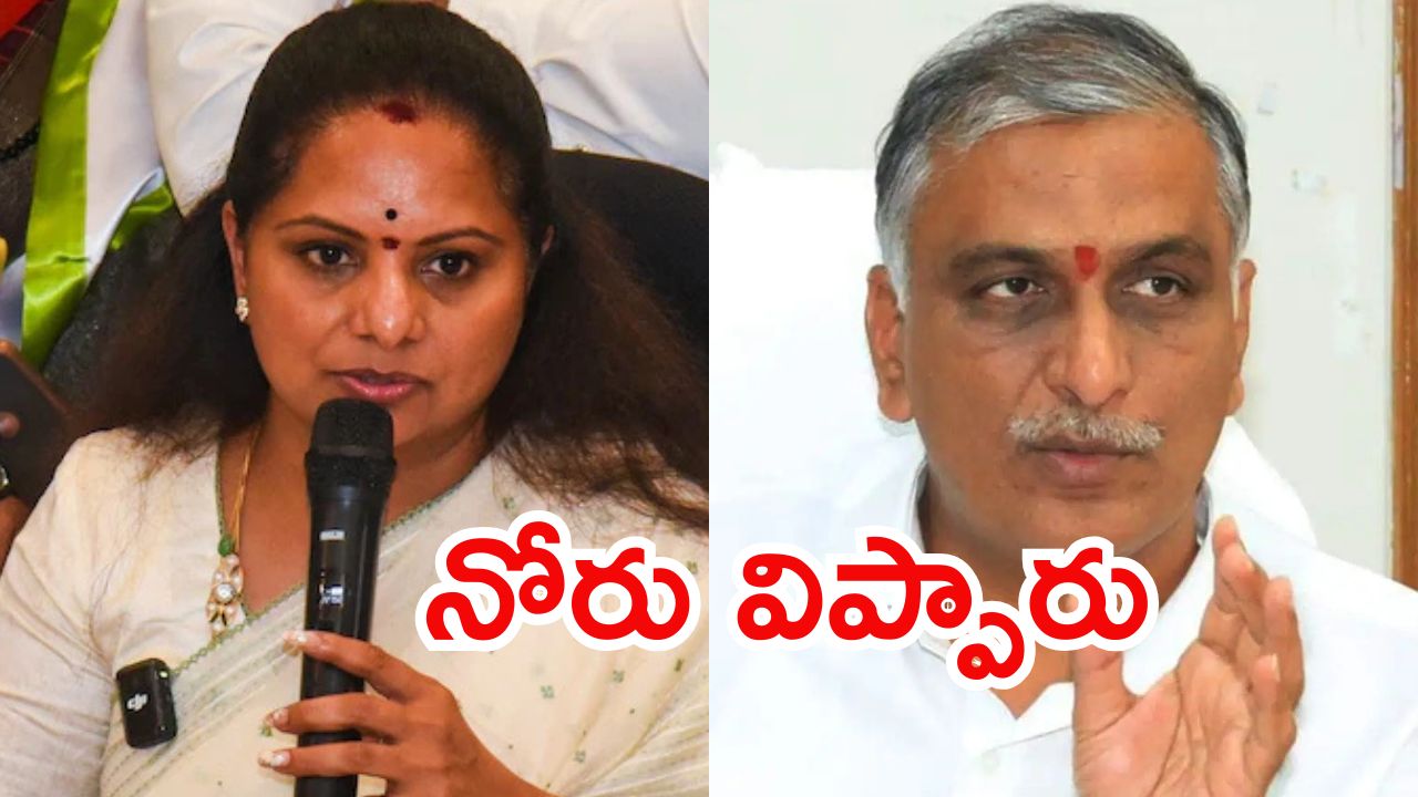 Harishrao: కవిత వ్యాఖ్యలపై.. ఎట్టకేలకు స్పందించిన హరీష్ రావు, అలా అనేశారేంటీ?
