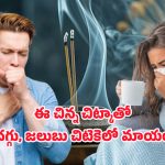Health benefits: అగరబత్తి‌కి విక్స్ రాసి వెలిగిస్తే దగ్గు, జలుబు వెంటనే తగ్గుతుందా? నిజమేమిటి?