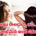 Healthy Hair Tips: ఆరోగ్యమైన జుట్టు కోసం సహజ చిట్కా.. వారంలో రెండు సార్లు చాలు
