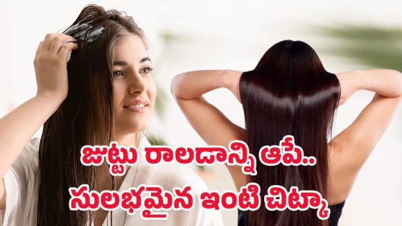 Healthy Hair Tips: ఆరోగ్యమైన జుట్టు కోసం సహజ చిట్కా.. వారంలో రెండు సార్లు చాలు