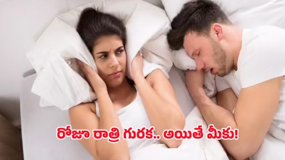 Heart Problems: రాత్రిపూట తరచూ గురక.. నిర్లక్ష్యం చేస్తే తీవ్రమైన 5 ఆరోగ్య సమస్యలు