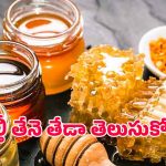 Natural Honey: స్వచ్ఛమైన తేనె vs కల్తీ తేనె – ఇంట్లోనే తేడా తెలుసుకోండి!