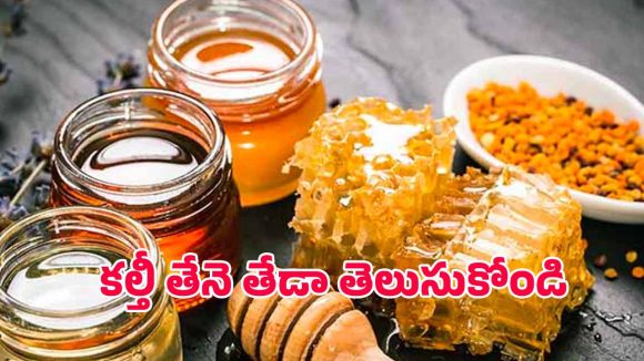 Natural Honey: స్వచ్ఛమైన తేనె vs కల్తీ తేనె – ఇంట్లోనే తేడా తెలుసుకోండి!