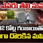 Woman Arrest: దుబాయ్ నుంచి దర్జాగా.. రూ.12 కోట్లు విలువ చేసే గంజాయి స్మగ్లింగ్, మహిళ అరెస్ట్
