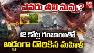 Woman Arrest: దుబాయ్ నుంచి దర్జాగా.. రూ.12 కోట్లు విలువ చేసే గంజాయి స్మగ్లింగ్, మహిళ అరెస్ట్