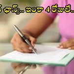 IBPS RRB: డిగ్రీ అర్హతతో 13,217 ఉద్యోగాలు.. ఈ జాబ్ వస్తే బంగారు భవిష్యత్తు, ఇంకా 4 రోజులే