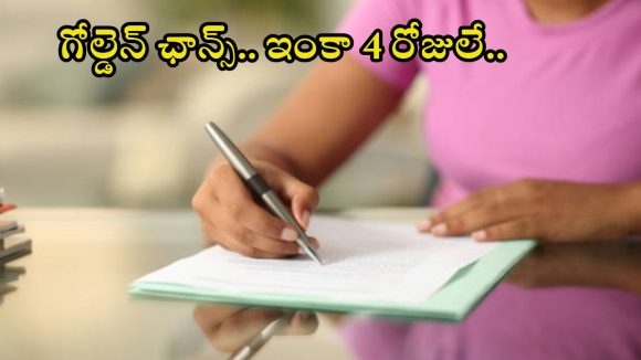 IBPS RRB: డిగ్రీ అర్హతతో 13,217 ఉద్యోగాలు.. ఈ జాబ్ వస్తే బంగారు భవిష్యత్తు, ఇంకా 4 రోజులే