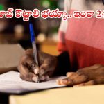 IBPS Notification: ఇంకా ఒక్క రోజే.. ఇలాంటి అద్భుతమైన ఛాన్స్ మళ్లీ రాదు, డిగ్రీ ఉంటే జాబ్ ఉన్నట్టే..!