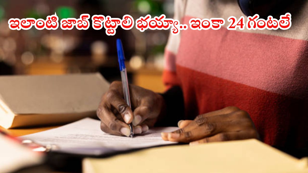 IBPS Notification: ఇంకా ఒక్క రోజే.. ఇలాంటి అద్భుతమైన ఛాన్స్ మళ్లీ రాదు, డిగ్రీ ఉంటే జాబ్ ఉన్నట్టే..!