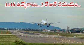 EPFO Passbook Lite: EPFO కీలక నిర్ణయం, ఒకే క్లిక్ తో పీఎఫ్ సెటిల్మెంట్!