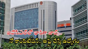 IOCL Jobs: ఇంటర్, డిగ్రీ అర్హతతో భారీగా ఉద్యోగాలు.. మంచివేతనం, దరఖాస్తు కొన్ని రోజులే గడువు
