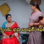 Illu Illalu Pillalu Today Episode: అత్తింటికి వల్లి దూరం.. భద్రతో భాగ్యం చేతులు కలుపుతుందా?.. మరో ట్విస్ట్ రెడీ..