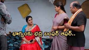 Illu Illalu Pillalu Today Episode: అత్తింటికి వల్లి దూరం.. భద్రతో భాగ్యం చేతులు కలుపుతుందా?.. మరో ట్విస్ట్ రెడీ..