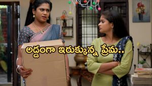 Illu Illalu Pillalu Today Episode: పోలీసుల దగ్గరకు రామరాజు.. భాగ్యం ప్లాన్ అదుర్స్.. శ్రీవల్లికి ప్రేమపై అనుమానం..?