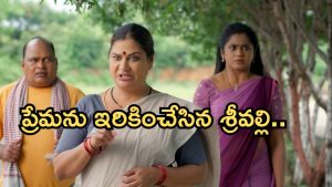 Illu Illalu Pillalu Today Episode: రామరాజుకు ప్రేమ గురించి తెలుస్తుందా..? కాలేజీలో ప్రేమకు షాక్.. శ్రీవల్లికి అనుమానం..
