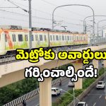 India Guinness Records: గిన్నిస్‌లో ఇండియా బ్లాస్ట్.. మెట్రో అదరగొట్టింది.. ఇదేం డిజైన్ బాబోయ్!