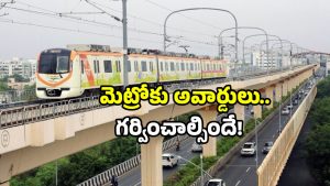 India Guinness Records: గిన్నిస్‌లో ఇండియా బ్లాస్ట్.. మెట్రో అదరగొట్టింది.. ఇదేం డిజైన్ బాబోయ్!