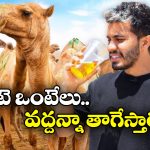 Camel Urine: ఆ దేశ ప్రజలు ఒంటె మూత్రం తాగుతారట.. కారణం తెలిస్తే మీరూ కావాలంటరేమో!