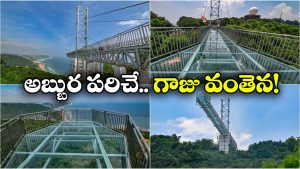 Skywalk Glass Bridge: దేశంలోనే అతిపెద్ద గ్లాస్ బ్రిడ్జ్, త్వరలో అందుబాటులోకి!