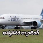 Indigo Flight: ఇండిగో విమానంలో సాంకేతిక లోపం.. 180 మందికి పైగా ప్రయాణికులు