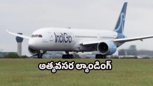 Indigo Flight: ఇండిగో విమానంలో సాంకేతిక లోపం.. 180 మందికి పైగా ప్రయాణికులు
