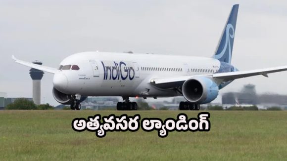 Indigo Flight: ఇండిగో విమానంలో సాంకేతిక లోపం.. 180 మందికి పైగా ప్రయాణికులు