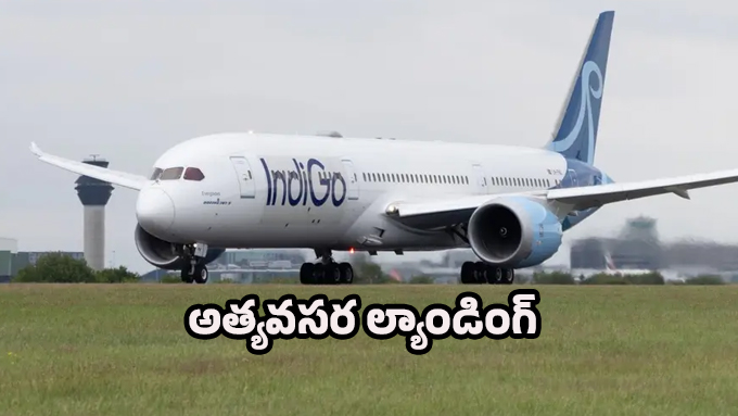 Indigo Flight: ఇండిగో విమానంలో సాంకేతిక లోపం.. 180 మందికి పైగా ప్రయాణికులు