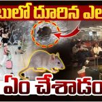 Latest News: విమానాశ్రమంలో ప్రయాణికుడి ఫ్యాంట్‌లోకి దూరిన ఎలుక..