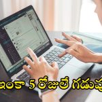 JOB IN APMSRB: ఏపీలో ఉద్యోగ నోటిఫికేషన్ విడుదల.. లక్షల్లో వేతనం, దరఖాస్తుకు కొన్ని రోజులే గడువు