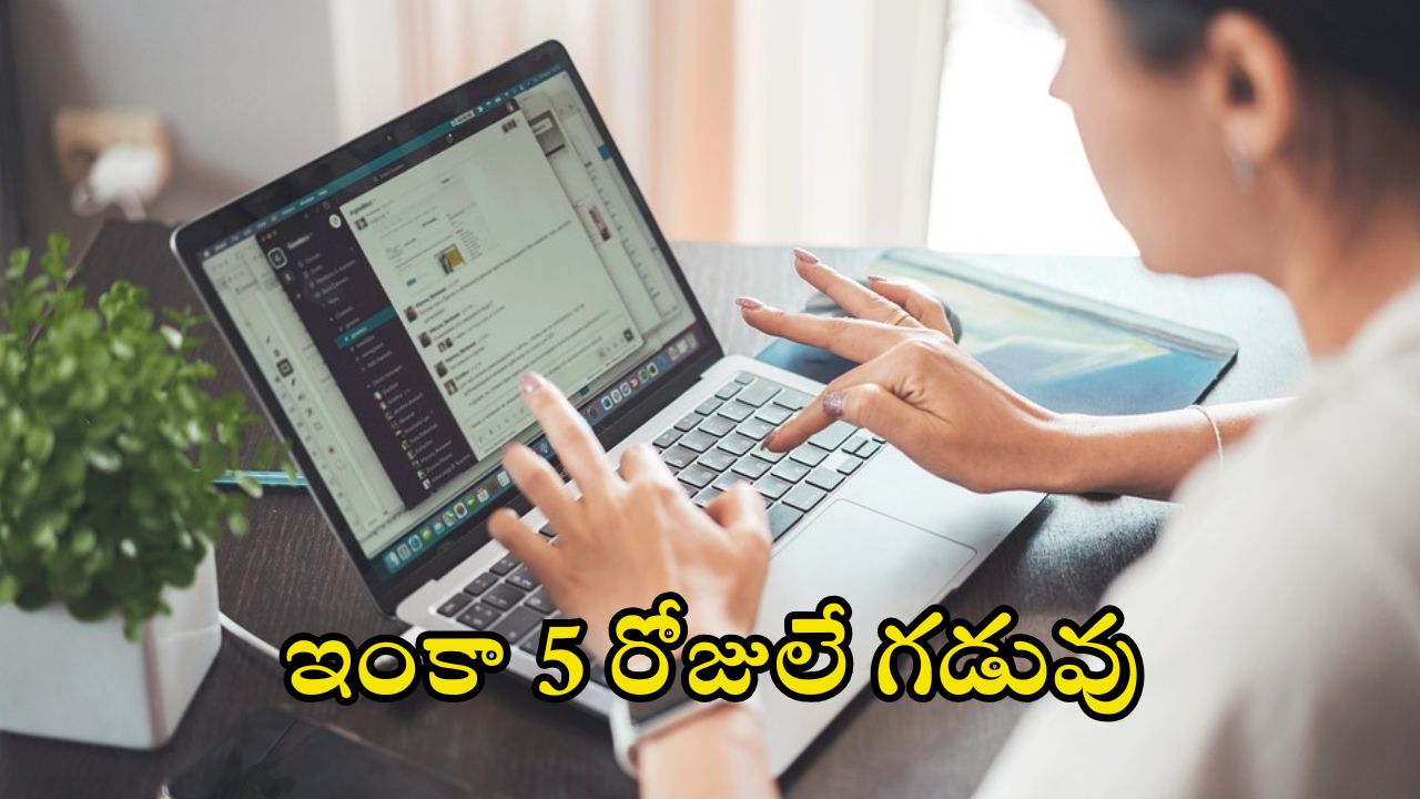 JOB IN APMSRB: ఏపీలో ఉద్యోగ నోటిఫికేషన్ విడుదల.. లక్షల్లో వేతనం, దరఖాస్తుకు కొన్ని రోజులే గడువు