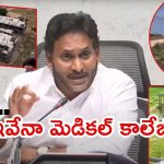 Jagan: మళ్లీ దొరికిపోయిన జగన్.. అప్పుడలా, ఇప్పుడిలా అంటూ నిజాలు బయటపెట్టిన టీడీపీ