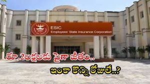 Jobs in ESIC: ఎంప్లాయిస్‌ స్టేట్ ఇన్సూరెన్స్ కార్పొరేషన్‌‌లో ఉద్యోగాలు.. రూ.లక్షల్లో వేతనాలు, దరఖాస్తుకు 5 రోజులే ఛాన్స్..?
