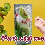 Kiwi Health Benefits: ప్రతి రోజు ఈ పండు తింటే.. అద్భుత ఫలితాలు