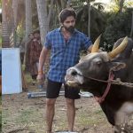 Film industry: షాక్.. హీరోపై ఎద్దు దాడి.. హుటాహుటిన హాస్పిటల్ కి తరలింపు!