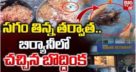 Cockroach in Biryani: బిర్యానీలో బొద్దింక.. పట్టించుకోని రెస్టారెంట్ యాజమాన్యం