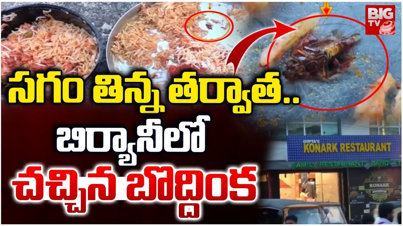Cockroach in Biryani: బిర్యానీలో బొద్దింక.. పట్టించుకోని రెస్టారెంట్ యాజమాన్యం