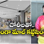 Viral News: కొట్టేయడం నా హాబీ.. చోరీ కేసులో మహిళ సర్పంచ్ అరెస్ట్, ఆమె చెప్పింది వింటే ఫ్యూజులు ఔట్!